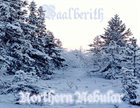 BAALBERITH [KIROV] Northern Nebular album cover